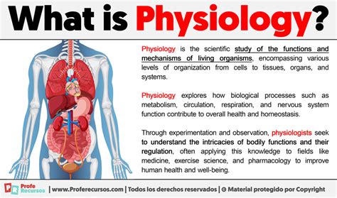 physiological 뜻: 생리학적 의미와 그 주변의 논의